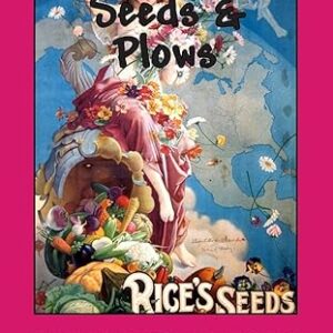 Seeds and Plows by Dave Thornton